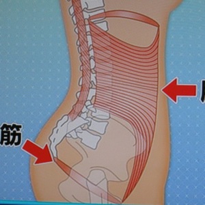 体幹を整える体操。